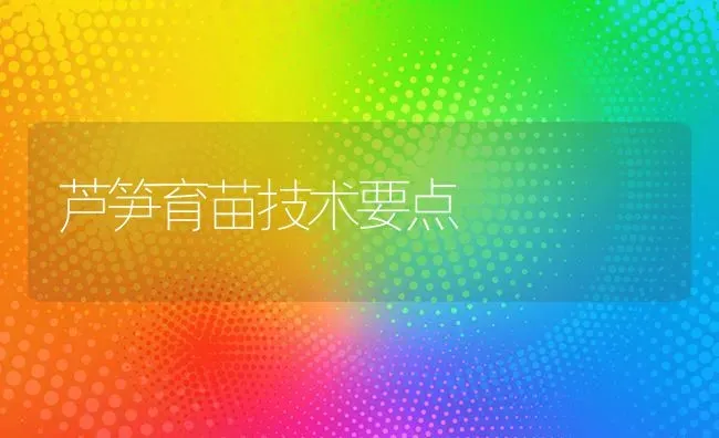 芦笋育苗技术要点 | 养殖知识