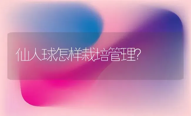 仙人球怎样栽培管理? | 养殖知识