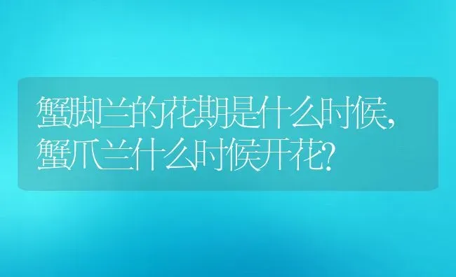 蟹脚兰的花期是什么时候,蟹爪兰什么时候开花？ | 养殖科普