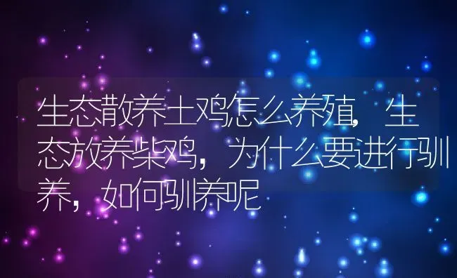 生态散养土鸡怎么养殖,生态放养柴鸡，为什么要进行驯养，如何驯养呢 | 养殖学堂