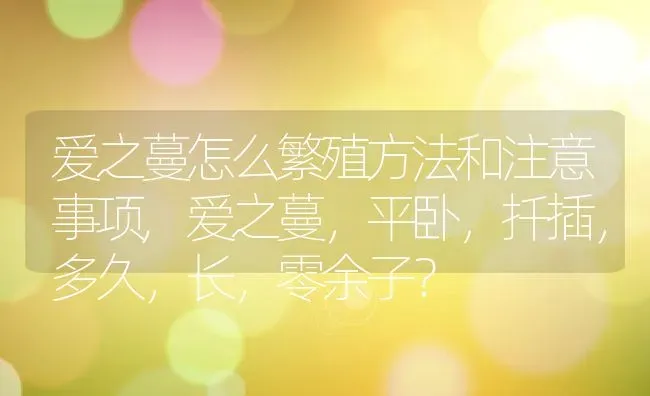 爱之蔓怎么繁殖方法和注意事项,爱之蔓，平卧，扦插，多久，长，零余子？ | 养殖科普