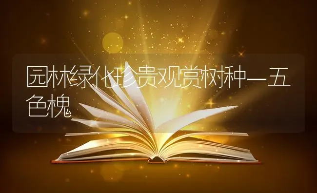 园林绿化珍贵观赏树种－五色槐 | 养殖知识