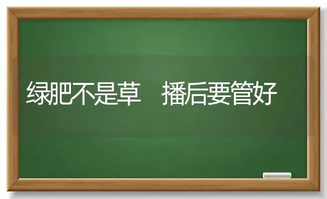 绿肥不是草 播后要管好 | 养殖技术大全