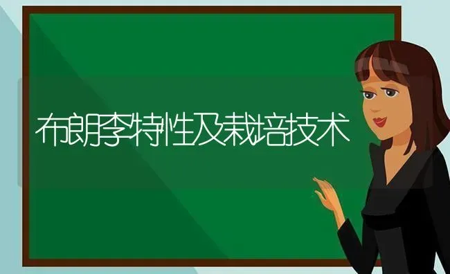 布朗李特性及栽培技术 | 养殖技术大全