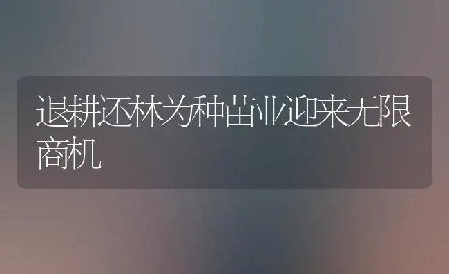 退耕还林为种苗业迎来无限商机 | 养殖技术大全
