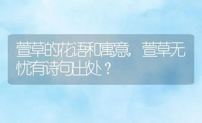 萱草的花语和寓意,萱草无忧有诗句出处？ | 养殖科普