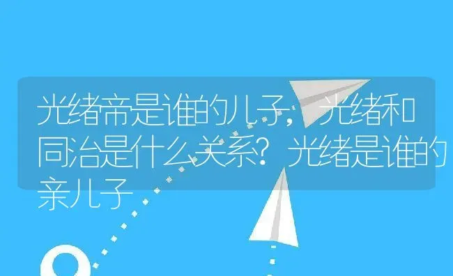 光绪帝是谁的儿子,光绪和同治是什么关系?光绪是谁的亲儿子 | 养殖科普