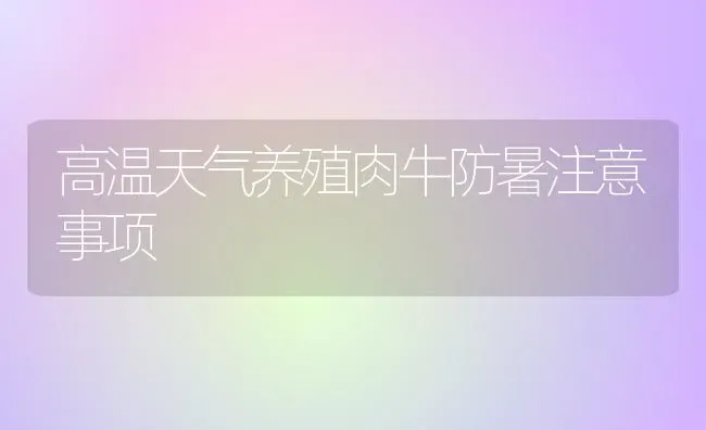 高温天气养殖肉牛防暑注意事项 | 养殖技术大全