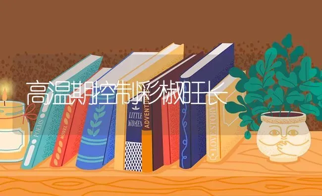 高温期控制彩椒旺长 | 养殖技术大全