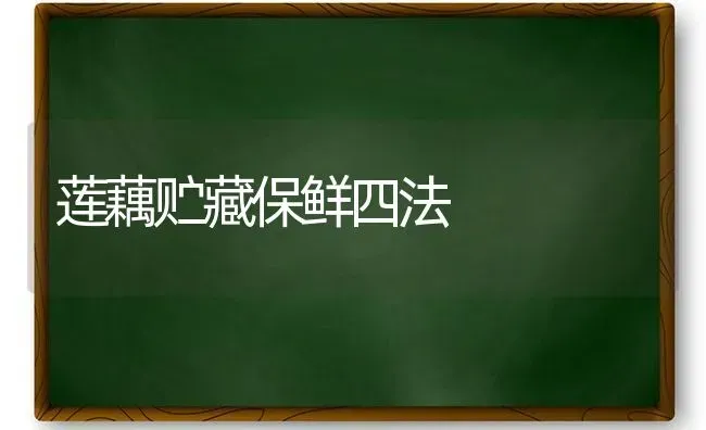 莲藕贮藏保鲜四法 | 养殖知识