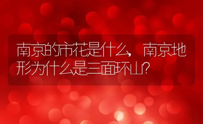 南京的市花是什么,南京地形为什么是三面环山？ | 养殖科普