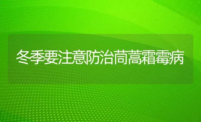 冬季要注意防治茼蒿霜霉病 | 养殖技术大全