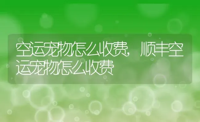 空运宠物怎么收费,顺丰空运宠物怎么收费 | 养殖资料