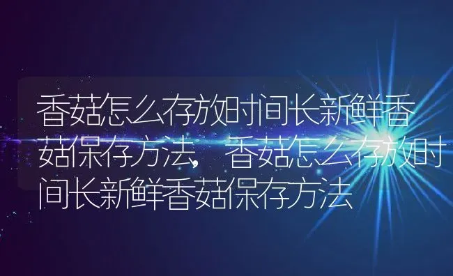 香菇怎么存放时间长新鲜香菇保存方法,香菇怎么存放时间长新鲜香菇保存方法 | 养殖科普