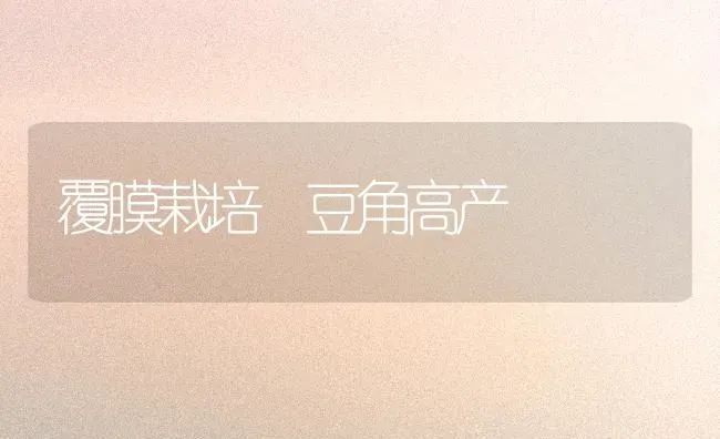 覆膜栽培 豆角高产 | 养殖技术大全