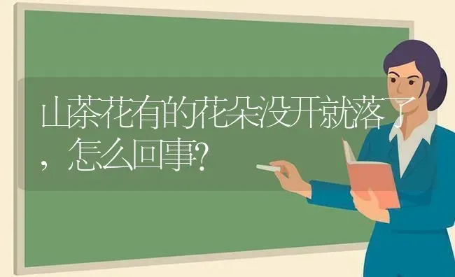 山茶花有的花朵没开就落了,怎么回事? | 养殖技术大全