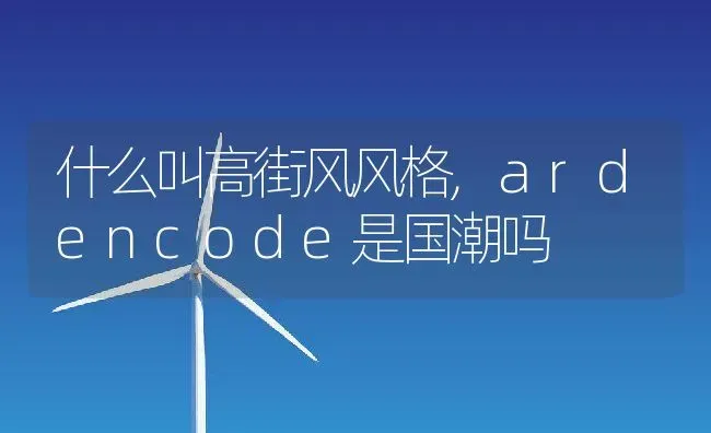 什么叫高街风风格,ardencode是国潮吗 | 养殖学堂