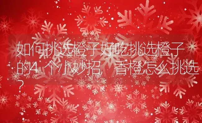 如何挑选橙子好吃挑选橙子的4个小妙招,香橙怎么挑选？ | 养殖科普