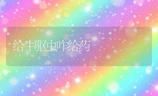 给牛驱虫咋给药 | 养殖知识