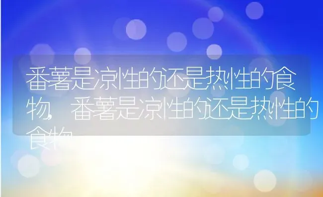 番薯是凉性的还是热性的食物,番薯是凉性的还是热性的食物 | 养殖科普