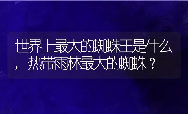 世界上最大的蜘蛛王是什么,热带雨林最大的蜘蛛？ | 养殖科普