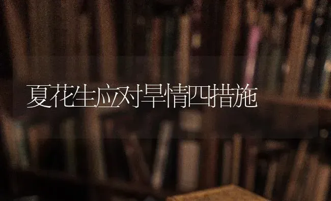 夏花生应对旱情四措施 | 养殖知识