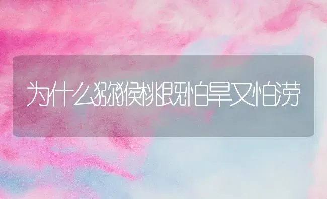 为什么猕猴桃既怕旱又怕涝 | 养殖技术大全