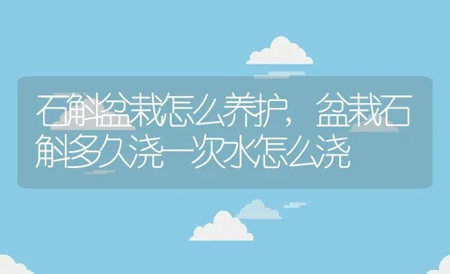 石斛盆栽怎么养护,盆栽石斛多久浇一次水怎么浇 | 养殖学堂