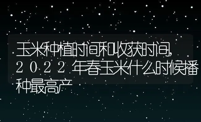 水稻常规育苗的五个要点,农村在撒播稻种时，要注意些什么 | 养殖学堂