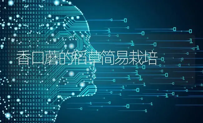 香口蘑的稻草简易栽培 | 养殖技术大全