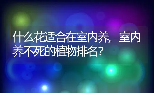 什么花适合在室内养,室内养不死的植物排名？ | 养殖科普