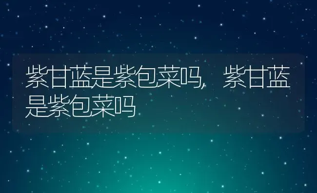 紫甘蓝是紫包菜吗,紫甘蓝是紫包菜吗 | 养殖科普