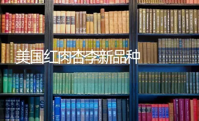 美国红肉杏李新品种 | 养殖技术大全