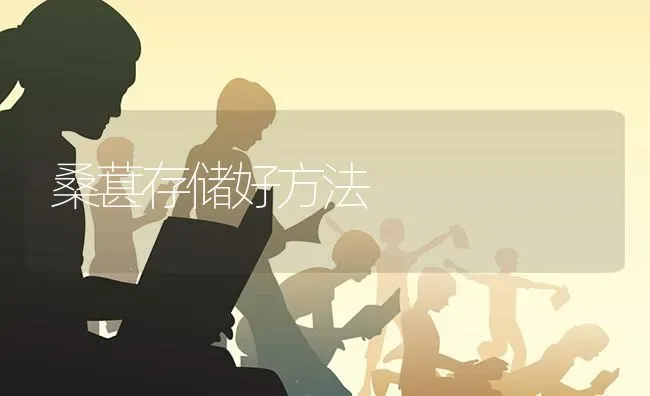 桑葚存储好方法 | 养殖知识