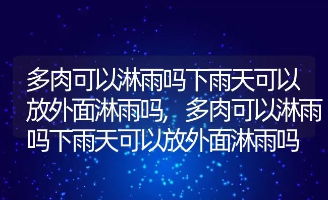 多肉可以淋雨吗下雨天可以放外面淋雨吗,多肉可以淋雨吗下雨天可以放外面淋雨吗 | 养殖科普