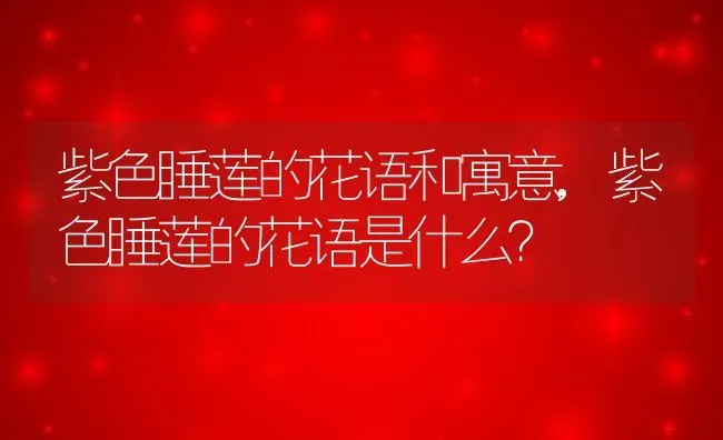 紫色睡莲的花语和寓意,紫色睡莲的花语是什么？ | 养殖科普