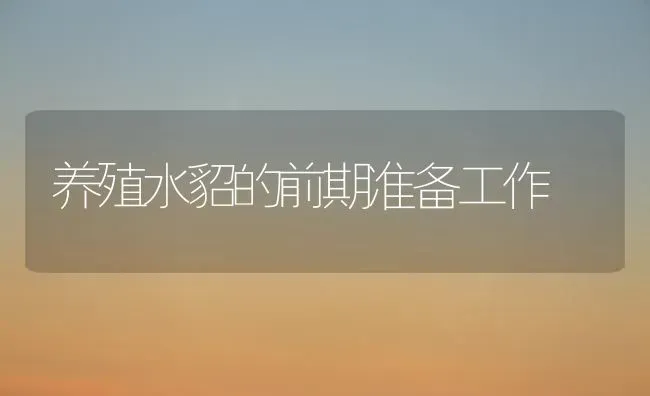 养殖水貂的前期准备工作 | 养殖技术大全