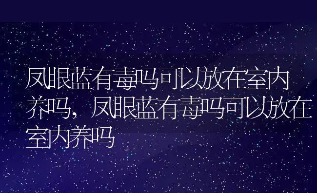 凤眼蓝有毒吗可以放在室内养吗,凤眼蓝有毒吗可以放在室内养吗 | 养殖科普