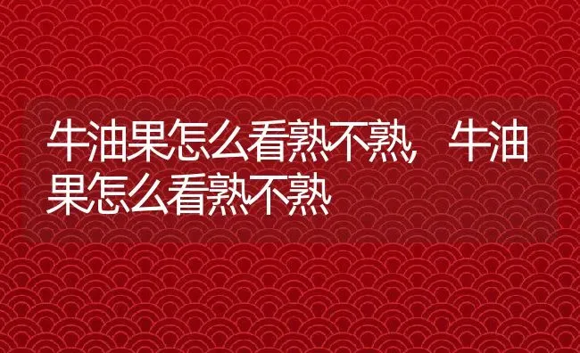 牛油果怎么看熟不熟,牛油果怎么看熟不熟 | 养殖科普