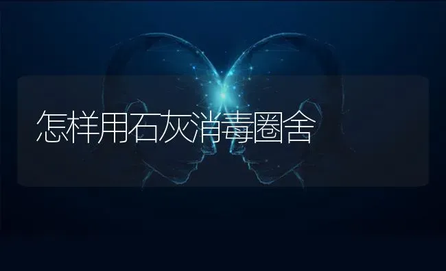 怎样用石灰消毒圈舍 | 养殖知识