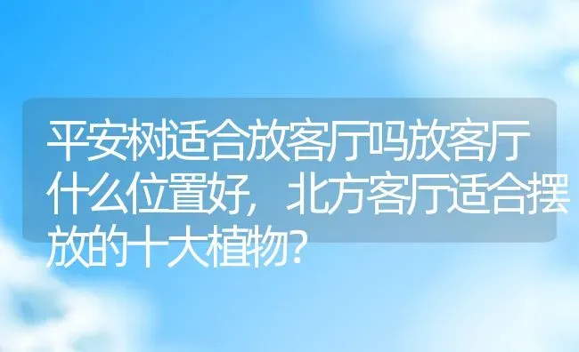 平安树适合放客厅吗放客厅什么位置好,北方客厅适合摆放的十大植物？ | 养殖科普