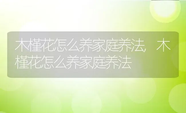 木槿花怎么养家庭养法,木槿花怎么养家庭养法 | 养殖科普