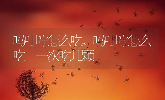 吗叮咛怎么吃,吗叮咛怎么吃 一次吃几颗 | 养殖科普