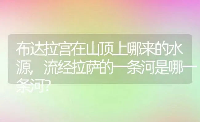 布达拉宫在山顶上哪来的水源,流经拉萨的一条河是哪一条河？ | 养殖科普