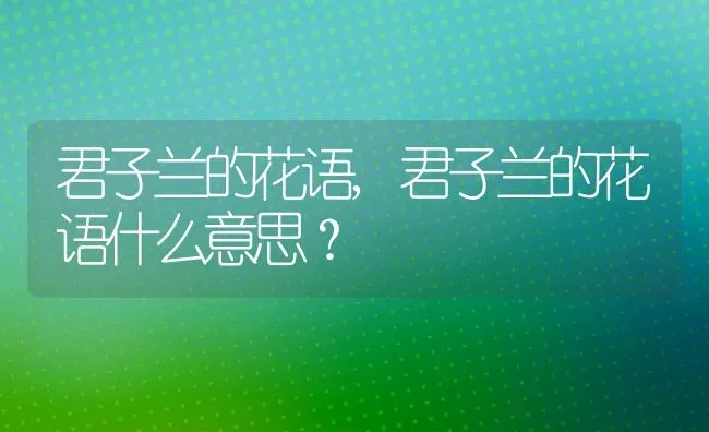 君子兰的花语,君子兰的花语什么意思？ | 养殖学堂