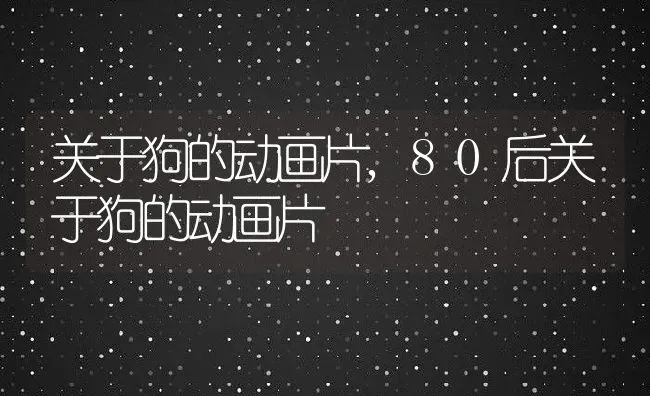 关于狗的动画片,80后关于狗的动画片 | 养殖资料