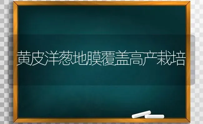 黄皮洋葱地膜覆盖高产栽培 | 养殖技术大全