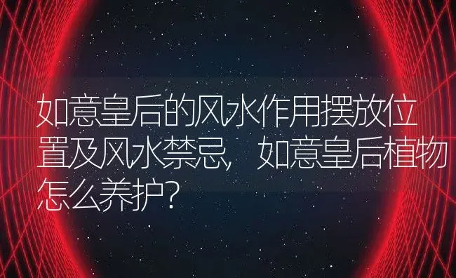 如意皇后的风水作用摆放位置及风水禁忌,如意皇后植物怎么养护？ | 养殖科普