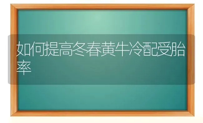 如何提高冬春黄牛冷配受胎率 | 养殖技术大全