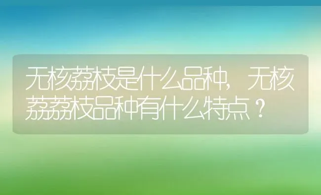 无核荔枝是什么品种,无核荔荔枝品种有什么特点？ | 养殖科普